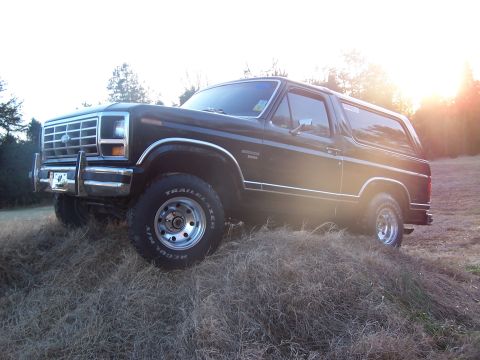 1983 Ford Bronco - This Ford Bronco appears to be from the early 1980s, with a distinctive grille and body style.