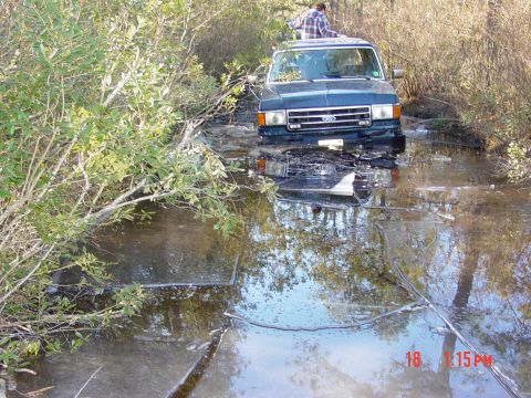 1995 Dodge 1500 - Ford F-Series truck stuck in icy water with a person on its roof.