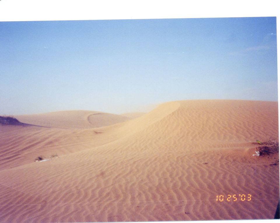 Rippled sand dunes under a clear sky with a 10 25 03 date stamp in the lower right corner