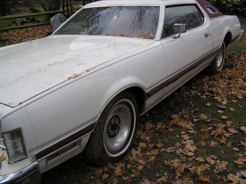 1976 Ford Thunderbird photo