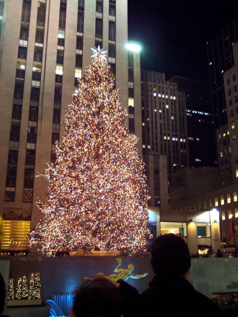2001 Ford Crown Victoria - A festive Christmas tree stands tall, adorned with countless lights, against the backdrop of city buildings at night.