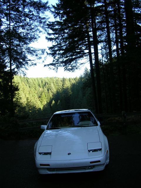 1989 Nissan 300ZX “Project Z”