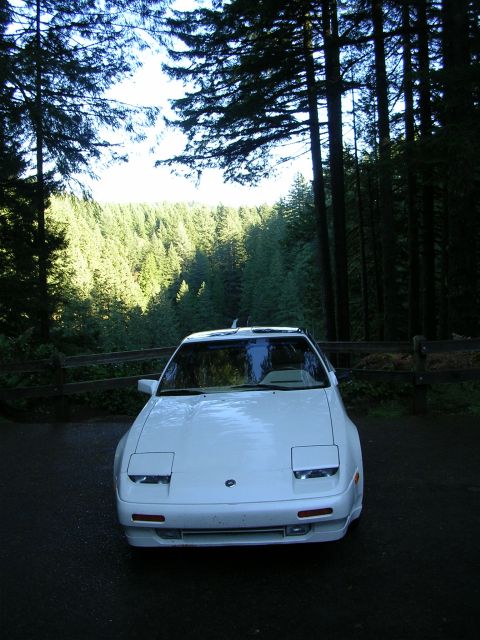 1989 Nissan 300ZX “Project Z”