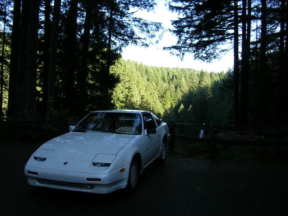 White 1989 Nissan 300ZX parked in a forest clearing with a view of evergreen trees