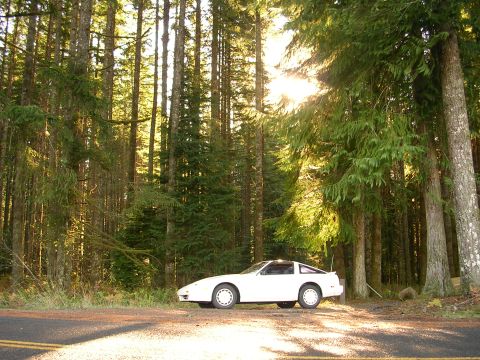 1989 Nissan 300ZX “Project Z”