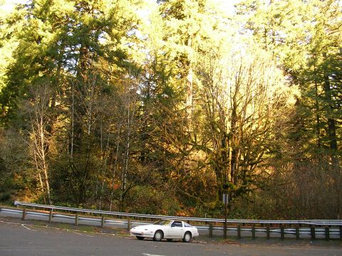1989 Nissan 300ZX “Project Z”
