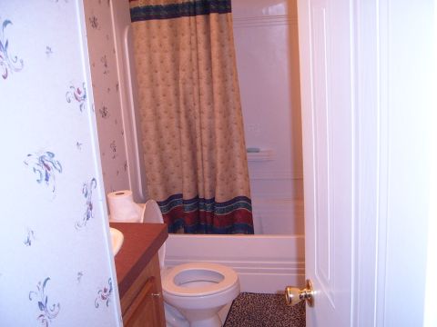 1988 Ford Bronco - A bathroom scene includes a toilet, sink, and a shower with a decorative curtain.