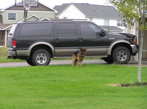 2000 Ford Excursion - A black 2000 Ford Excursion is parked in front of a house, with a German Shepherd standing on the lawn.