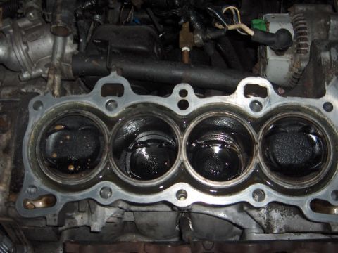 1995 Acura Integra photo