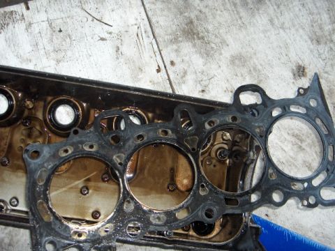 1995 Acura Integra photo