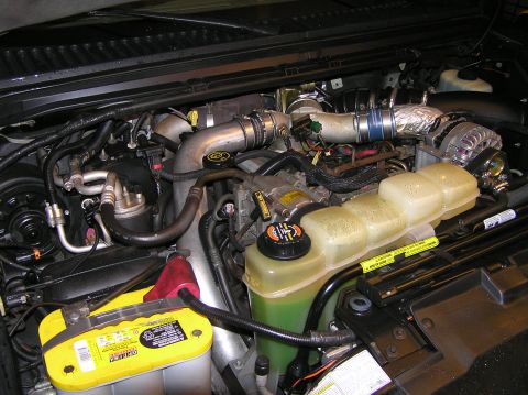 2000 Ford Excursion - Cleanest the engine compartment has been in a while! Detailed a couple weeks ago in Dec '05.