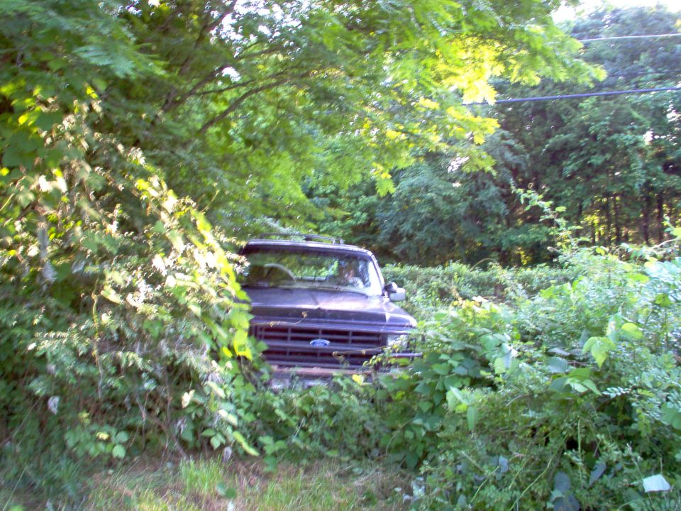 A 4WD tractor with a bushhog broke down here, so I volunteered to knock down the underbrush so he could finish cutting it.