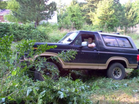 1983 Ford Bronco - This is the last shrub, but it's growing out of a 1x1x2'-deep sinkhole.