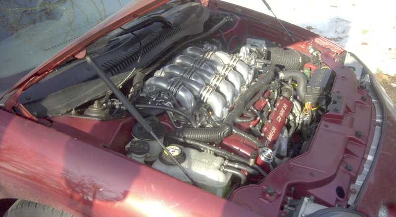 Red 1997 Ford Taurus engine bay with a V8 engine, chrome intake manifold, and red valve covers
