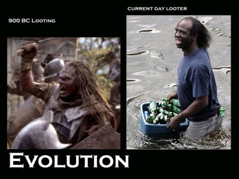 1994 Ford Bronco - Two-panel demotivational-style meme image labeled "900 BC Looting" and "CURRENT DAY LOOTER" with the word "EVOLUTION" across the bottom, sh…