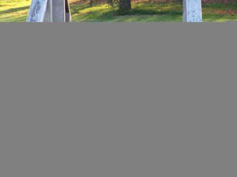 1986 Ford Bronco - This old pickup truck is parked outdoors in a grassy area with trees visible behind it.