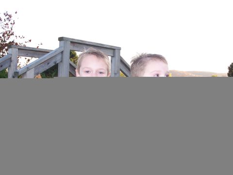 1986 Ford Bronco - Two young boys peer over a wooden railing on a bright day.