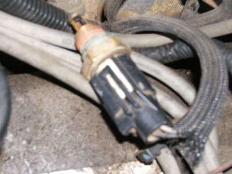 1990 Ford Bronco - This image shows a close-up view of a vehicle's engine sensor and its associated wiring harness.