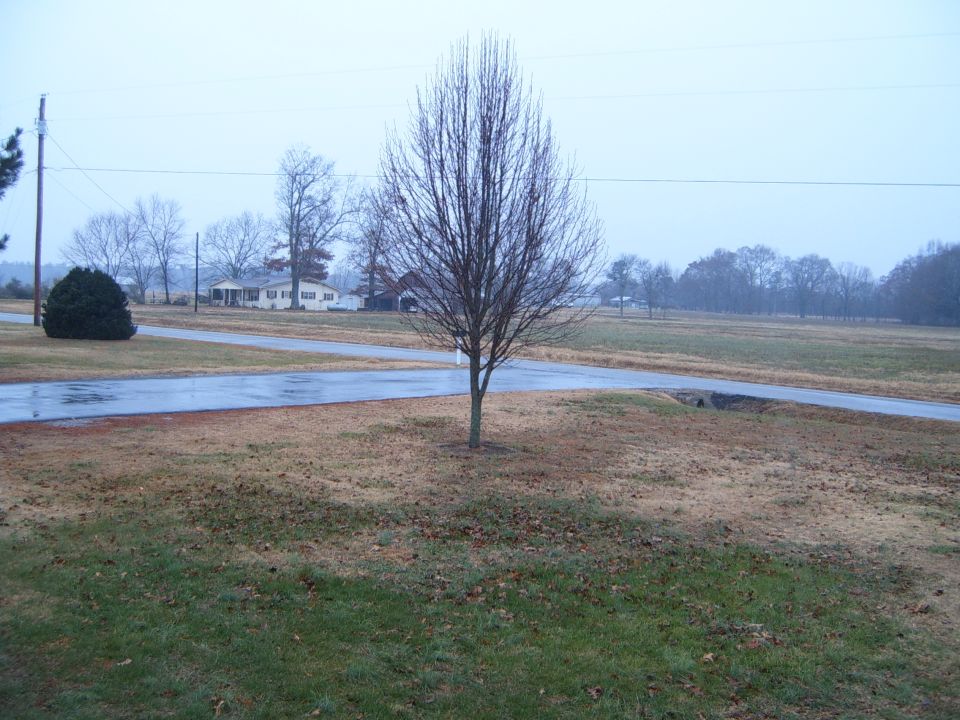 Rural landscape with wet road and bare trees