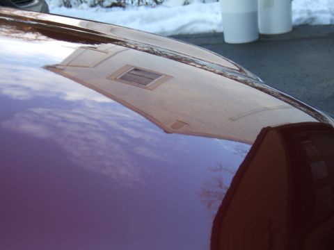 1998 Ford Taurus - Reflection of a house with a window on the polished hood of a purple car.
