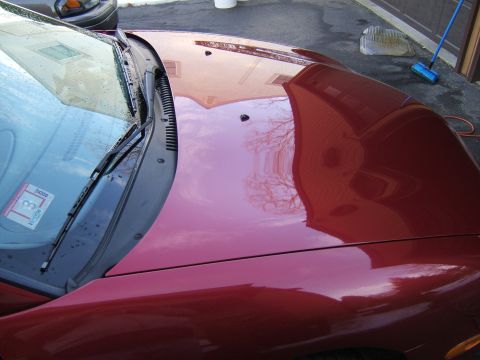 1998 Ford Taurus - The reflection on the car's hood shows a house and bare trees, indicating an outdoor scene.