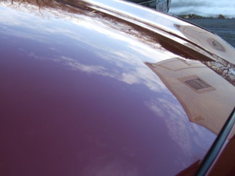 1998 Ford Taurus - Reflection of a building and trees on a purple car's hood.