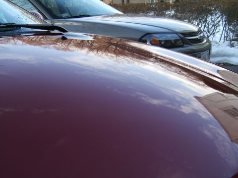 1998 Ford Taurus - The reflection on the hood of a red car shows trees and clouds, with a silver car partially visible in the background.