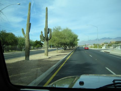 1968 Ford Mustang - Driving down a desert road with saguaro cacti and a red car ahead.