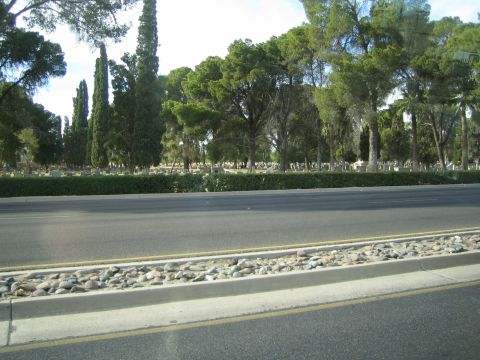 1968 Ford Mustang - A view of a cemetery with many trees and headstones, seen from the side of a road.