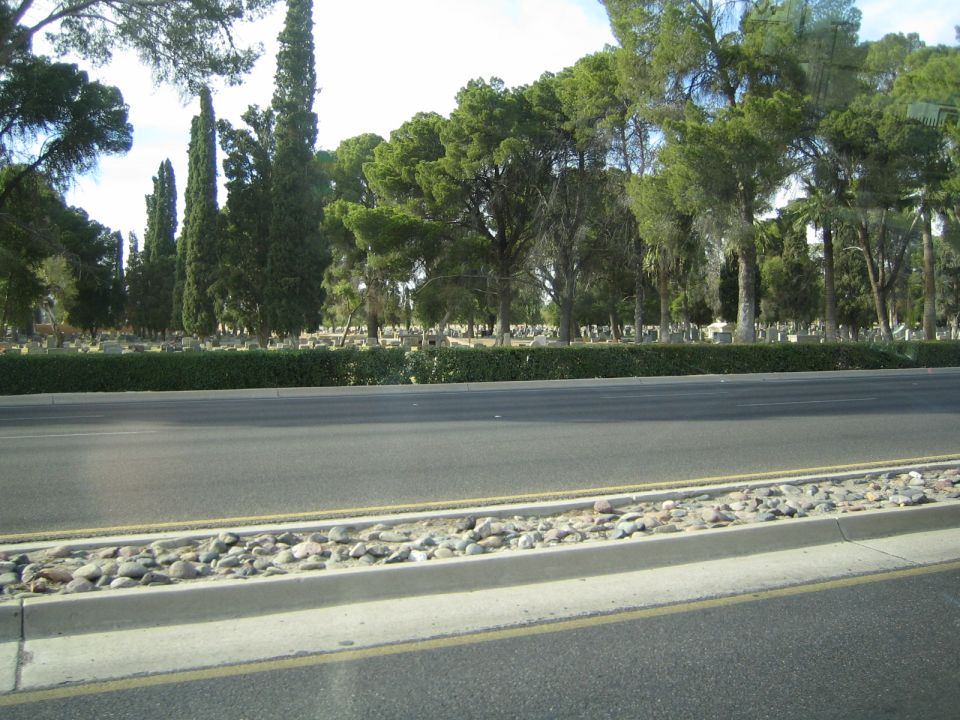 roadside view of a cemetery with trees and headstones