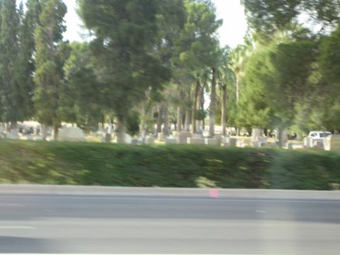 1968 Ford Mustang - A white SUV is visible in the distance, parked behind a manicured hedge in a cemetery.