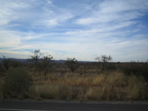 1968 Ford Mustang - A wide view of a dry, arid landscape with sparse vegetation and a cloudy sky overhead.