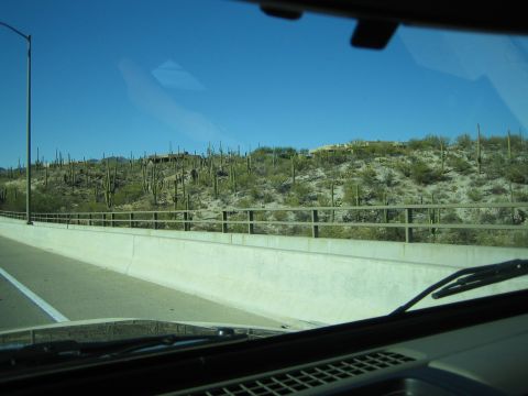 1968 Ford Mustang - Driving through a desert landscape filled with saguaro cacti on a sunny day.