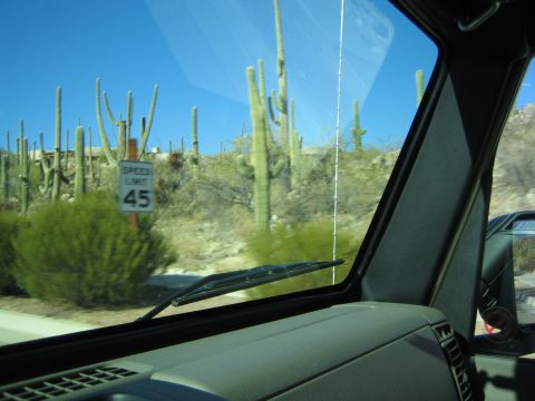 1968 Ford Mustang - View from inside a vehicle driving through a desert landscape with saguaro cacti and a speed limit sign.