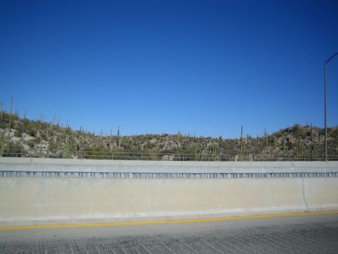 1968 Ford Mustang - A view of a desert landscape filled with saguaro cacti, seen from a highway.