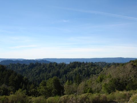 1992 Ford Taurus - A wide view of rolling hills covered in dense green forest under a bright blue sky.