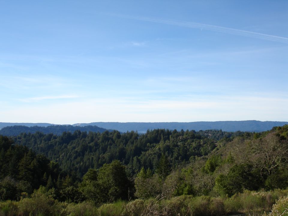 Forested hills and mountains under a clear blue sky with a faint contrail