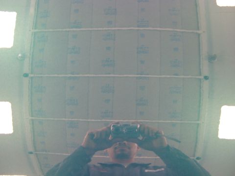 1995 Ford Taurus - A picture of the hood. The reflection is of the filters on the ceiling.