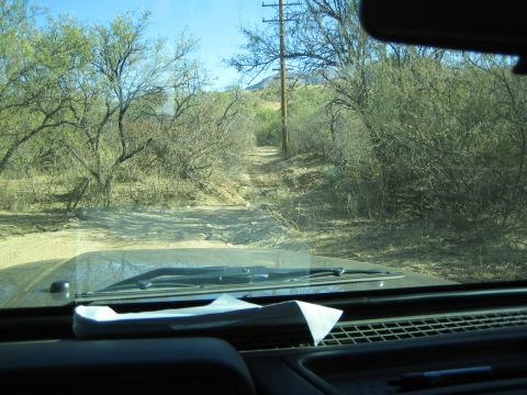 1968 Ford Mustang - View from inside a vehicle on a dirt road surrounded by desert brush and trees.