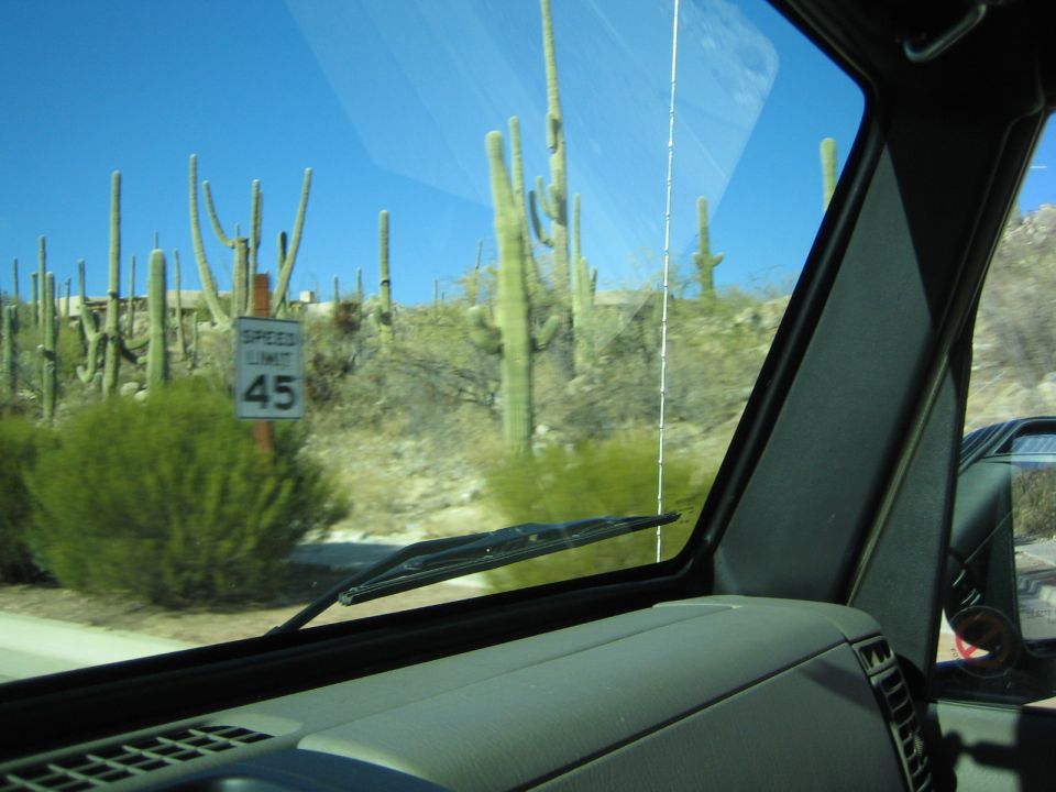 Passenger-side window view of a desert with saguaro cacti and a Speed Limit 45 sign