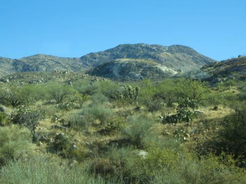 1968 Ford Mustang - A wide view of a desert scene with mountains in the background and arid vegetation in the foreground.
