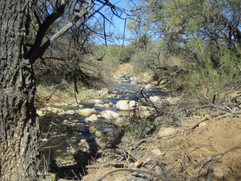 1968 Ford Mustang - A dry creek bed winds through a landscape of rocks and dry brush, with trees lining the banks.