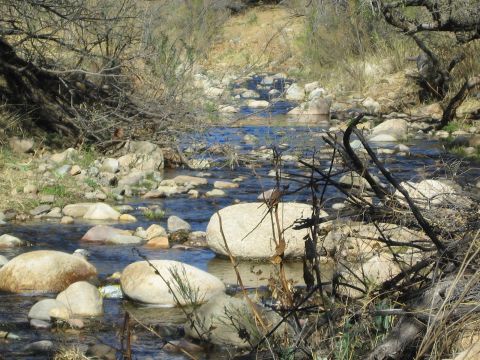 1968 Ford Mustang - A dry, rocky stream bed with sparse vegetation and trees under a bright sky.