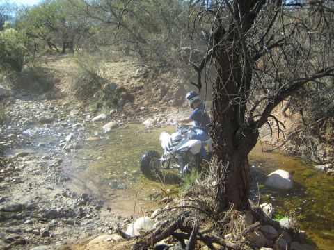 1968 Ford Mustang - ATV rider navigates a stream in a desert-like environment.
