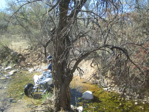 1968 Ford Mustang - A person navigates an ATV through a dry, rocky creek bed surrounded by arid vegetation.