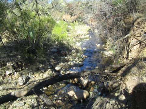 1968 Ford Mustang - A dry creek bed winds through rocks and sparse vegetation, with a fallen tree trunk partially obstructing the flow.