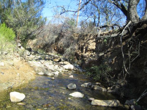 1968 Ford Mustang - A dry creek bed winds through rocky terrain with sparse vegetation and trees overhead.