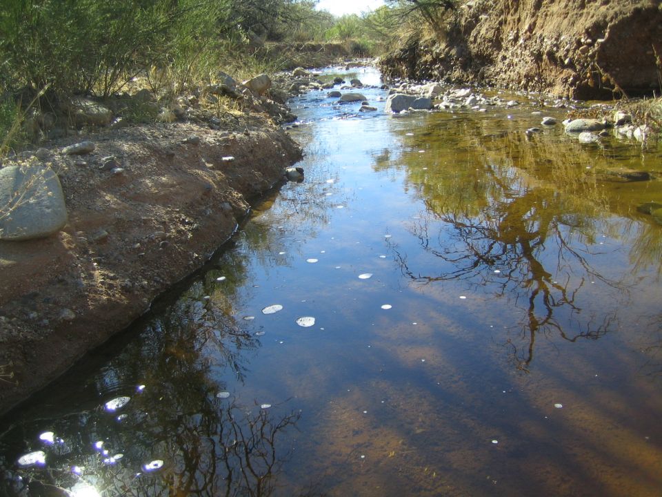 Shallow stream with tree reflections and sandy bank