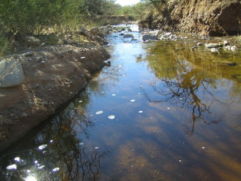 1968 Ford Mustang - A shallow stream flows through a rocky, arid landscape with reflections of trees in the water.