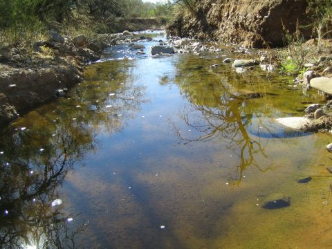 1968 Ford Mustang - A natural scene of a stream flowing through a dry, rocky landscape with reflections of trees in the water.